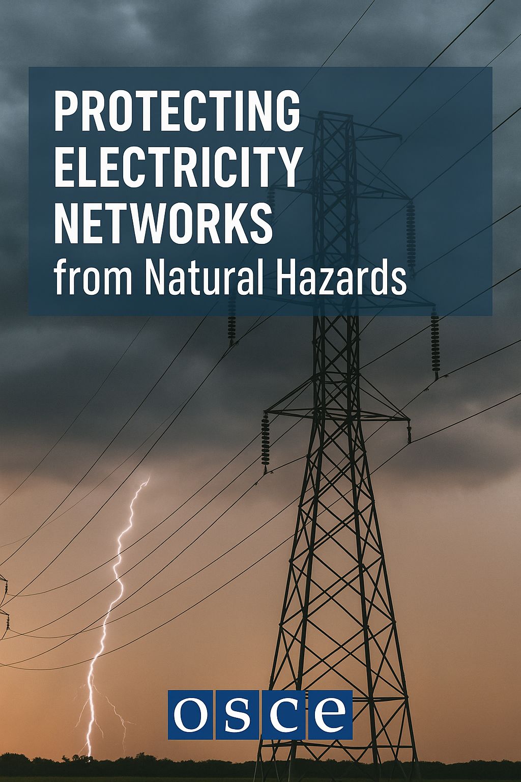Protecting Electricity Networks from Natural Hazards